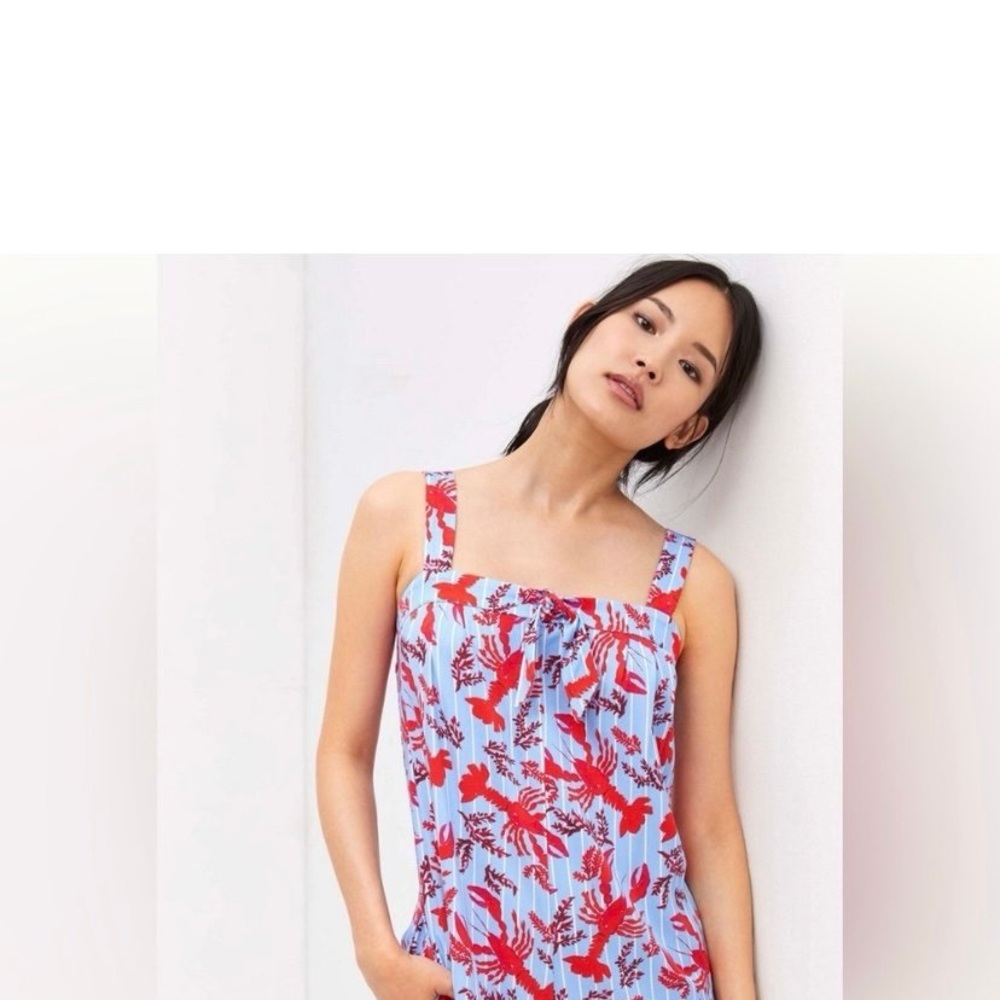Anthropologie Red and Blue Floral Dress